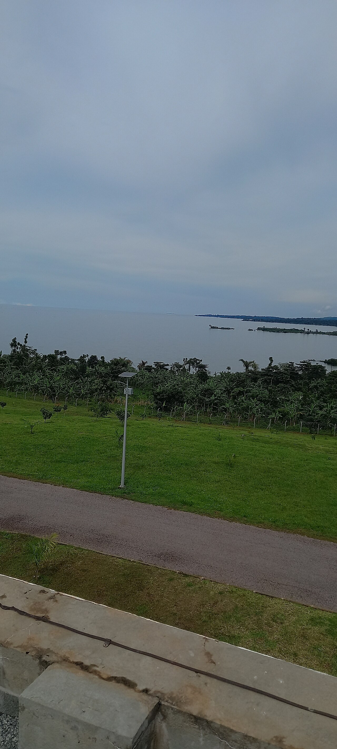 Calm water on the shore of Lake Victoria