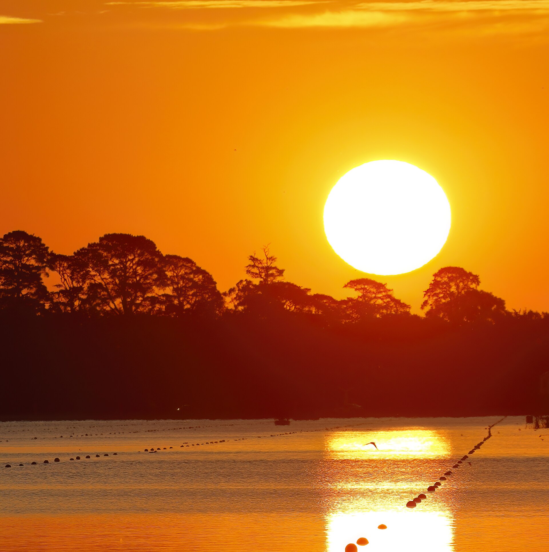 Sunset over the water, echoing the Glanelle safari scene